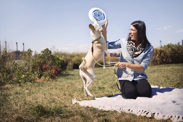 Frau gibt Frisbee an verspielten Hund im Park gegen den Himmel - CAVF41506