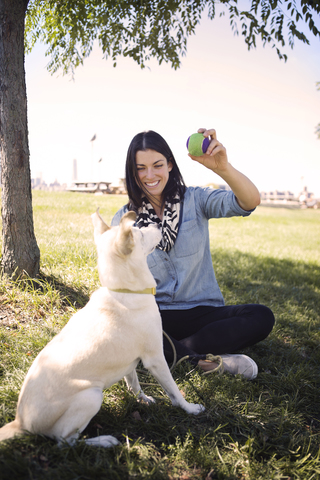 Happy woman showing ball to playful dog at park against sky stock photo