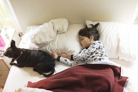 Hoher Blickwinkel des Jungen schlafend durch Hund auf Bett zu Hause, lizenzfreies Stockfoto