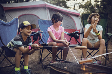 Siblings barbecuing in forest - CAVF41727