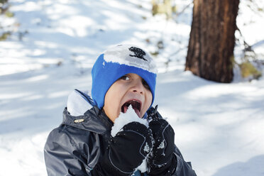 Hochformatiges Porträt eines Jungen, der im Wald Schnee isst - CAVF41805