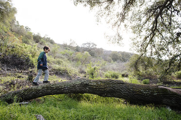 Side view of boy walking on tree trunk against sky in forest - CAVF41808