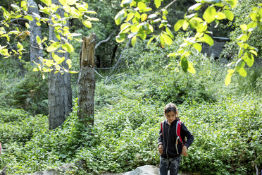 Hohe Winkel Ansicht von Mädchen stehend gegen Pflanzen im Wald - CAVF41857