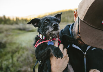 Mann trägt Hund auf Feld im Inyo National Forest - CAVF41877