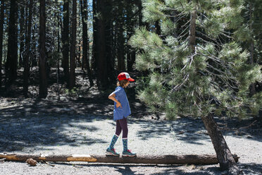 Seitenansicht eines auf einem Baumstamm stehenden Mädchens im Inyo National Forest - CAVF41883