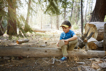 Nahaufnahme eines Jungen mit Schuhen, der auf einem umgestürzten Baum auf einem Feld sitzt - CAVF42026