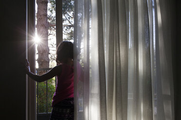 Rückansicht eines Mädchens, das an einem sonnigen Tag am Fenster vor den Vorhängen steht - CAVF42068