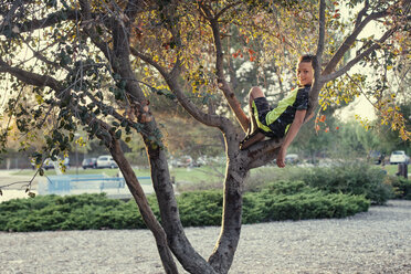 Lächelnder Junge entspannt sich auf einem Baum auf einem Feld - CAVF42075
