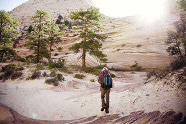 Rear view of rock climber walking on hill during sunny day - CAVF42273