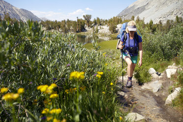 Wanderer, der auf einem Weg inmitten von Pflanzen gegen einen Berg läuft - CAVF42307