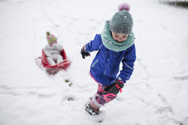 Girl pulling sister sitting in sled on snow covered field - CAVF42337