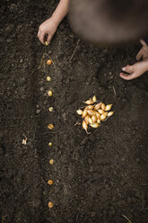 Cropped hands of boy putting onions in mud - CAVF42366