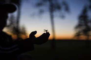 Cropped image of silhouette boy with insect on hand during dusk - CAVF42392