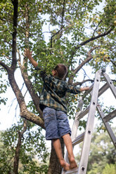 Rear view of boy reaching for pears while standing on ladder at farm - CAVF42426