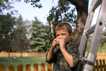 Portrait of boy eating pear on ladder at farm - CAVF42428