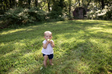 High angle view of cute baby girl eating pear while standing on grassy field - CAVF42429