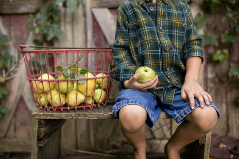 Mittelteil eines Jungen, der eine Birne in der Hand hält, während er an einem Korb vor einer Hütte sitzt - CAVF42436