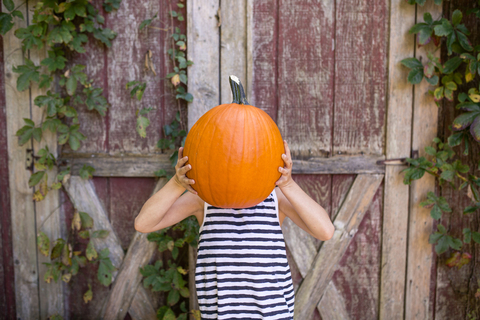 Playful girl holding pumpkin against face while standing against wooden wall at yard stock photo