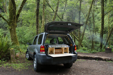 Geländewagen auf einem Campingplatz im Wald geparkt - CAVF42492