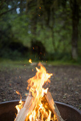 Nahaufnahme eines Lagerfeuers im Wald - CAVF42501