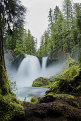 Blick auf einen idyllischen Wasserfall im Wald - CAVF42504