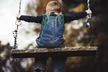 Rear view of boy sitting on swing - CAVF42530