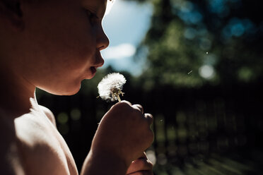 Cropped image of boy blowing dandelion flower at Panama City Beach - CAVF42545