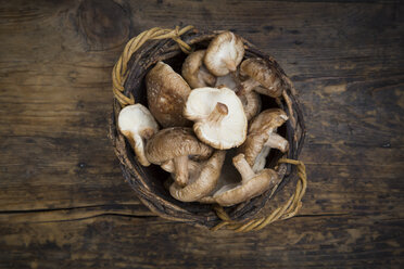 Organic Shitake mushrooms on dark wood - LVF06879