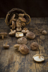 Organic Shitake mushrooms on dark wood - LVF06880