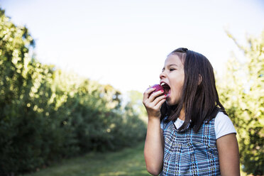 Girl eating apple while standing in orchard - CAVF42988