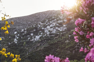 Greece, Thessalia, Makrinitsa, Mount Pilion against the sun - MAMF00059