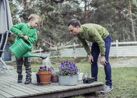 Vater und Sohn gärtnern gemeinsam im Garten - MASF05047