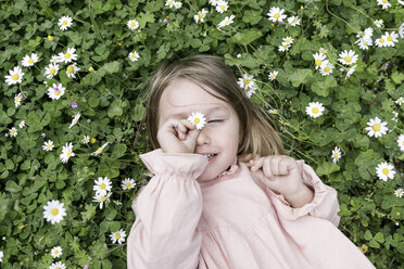 Porträt eines kleinen Mädchens auf einer Blumenwiese liegend - KMKF00197