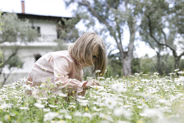 Kleines Mädchen pflückt Blumen auf einer Wiese - KMKF00199