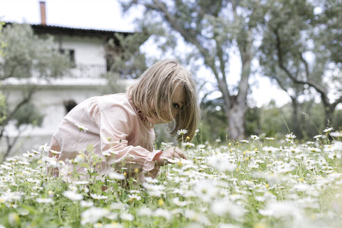 Kleines Mädchen pflückt Blumen auf einer Wiese - KMKF00199