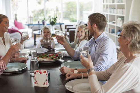 Familie mit mehreren Generationen beim gemeinsamen Mittagessen - MASF05533