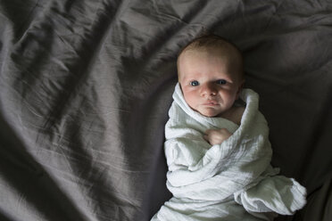 Porträt eines kleinen Jungen, der auf einem Bett liegt und in eine Decke eingewickelt wird, von oben - CAVF43152