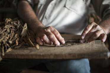Mittelteil eines Mannes, der in einer Werkstatt trockene Blätter auf einem Tisch rollt - CAVF43165