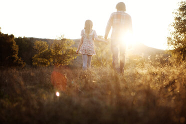 Rückansicht von Vater und Tochter beim Spaziergang auf einer Wiese an einem sonnigen Tag - CAVF43317