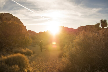 Full length of hiker walking on field amidst trees against sky on sunny day - CAVF43412