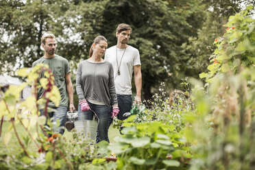 Freunde schauen sich Pflanzen im Garten an - MASF05676