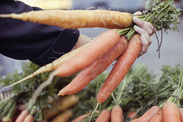 Ausgeschnittenes Bild einer Frau, die am Gemüsestand Karotten kauft - MASF05851