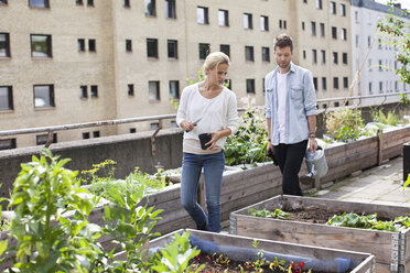 Junges kaukasisches Paar begutachtet Topfpflanzen im städtischen Garten - MASF05921