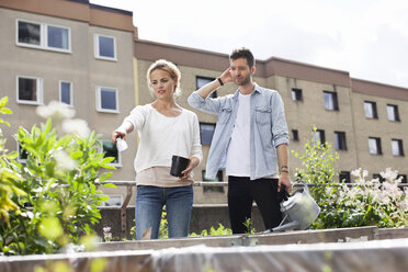 Young couple examining plants at urban garden - MASF05922