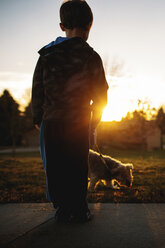 Rückansicht eines Jungen mit Yorkshire Terrier im Park bei Sonnenuntergang - CAVF43478