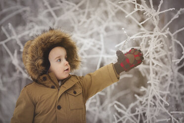 Niedlicher Junge berührt gefrorene Pflanze im Winter - CAVF43513