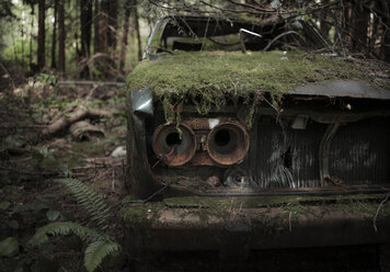 Nahaufnahme von Moos auf verlassenem Auto im Wald - CAVF43581