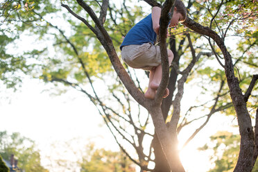 Low angle view of boy standing on branches against sky at park - CAVF43642