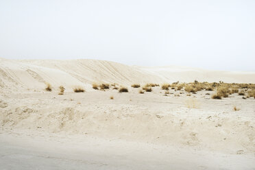 Sand dunes - CAVF43732