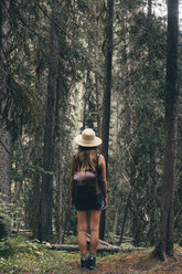 Rückansicht einer Frau mit Rucksack im Wald stehend - CAVF43777